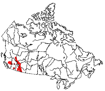 Map of Bighorn Sheep in Canada