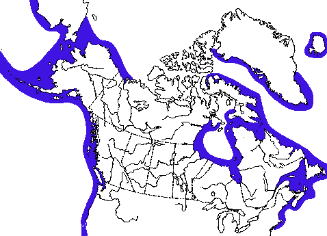 Map of Harbour Seal in Canada