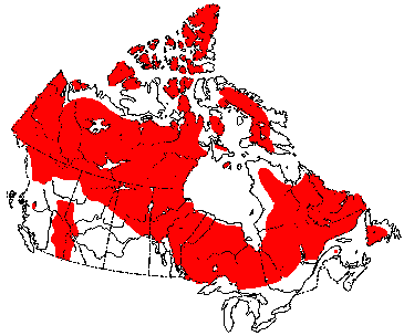 Map of Caribou or Reindeer in Canada