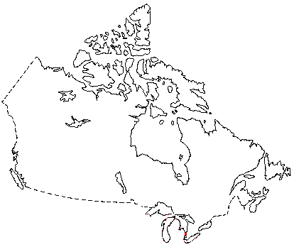 Map of Fox Squirrel in Canada