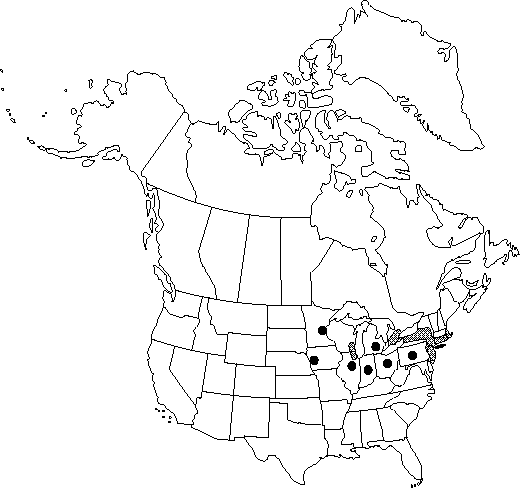 Map of Black alder, European alder in Canada