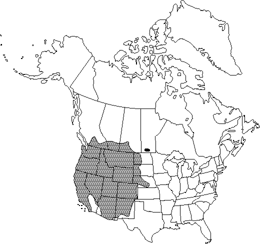 Map of Virgin's-bower, old man's beard in Canada