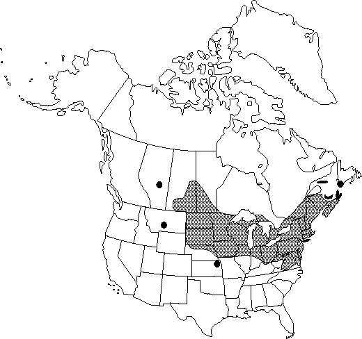 Map of <i>Humulus lupulus lupuloides</i> in Canada