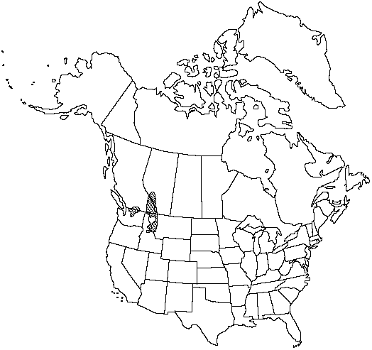 Map of Subalpine larch, alpine larch in Canada