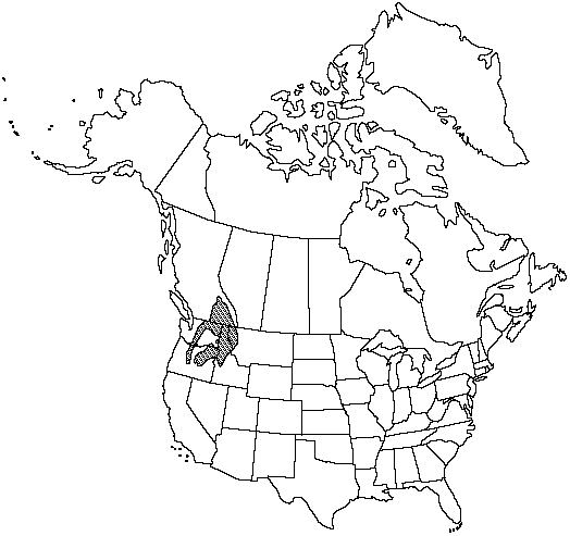 Map of Western larch in Canada