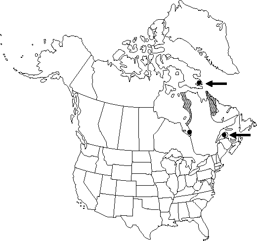 Map of <i>Ranunculus allenii</i> in Canada