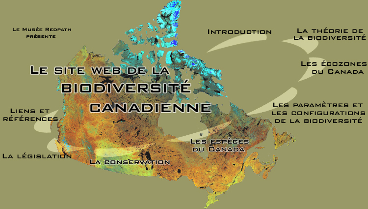 The Canadian Biodiversity Image Map
