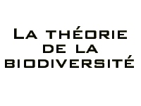 Biodiversity Theory